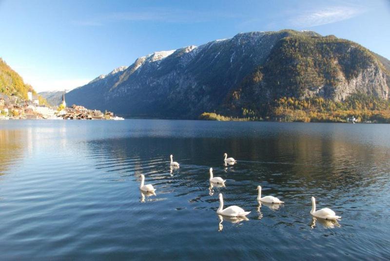 Ferienwohnung Krafttanken Hallstatt Exterior foto